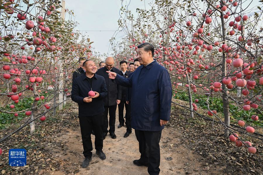 娱乐城平台
