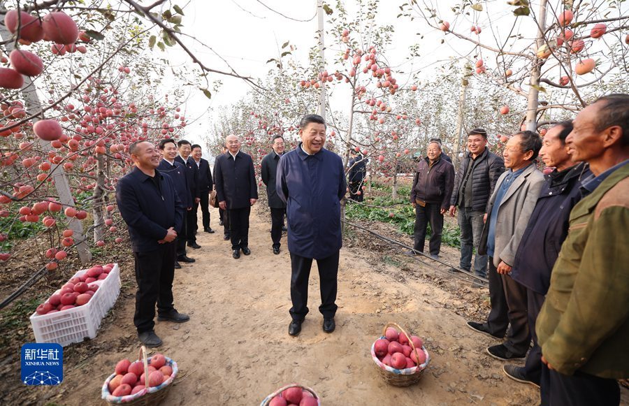 娱乐城平台