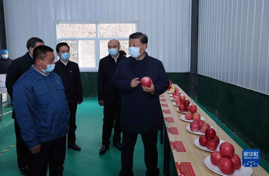 娱乐城平台